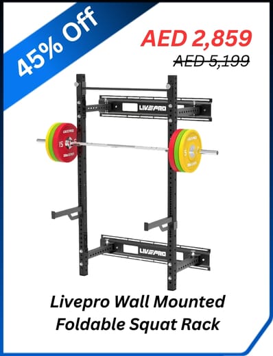 livepro-wall-mounted-foldable-squat-rack