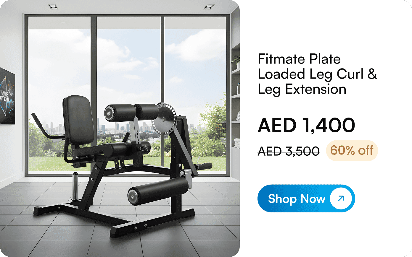 leg curl & extension