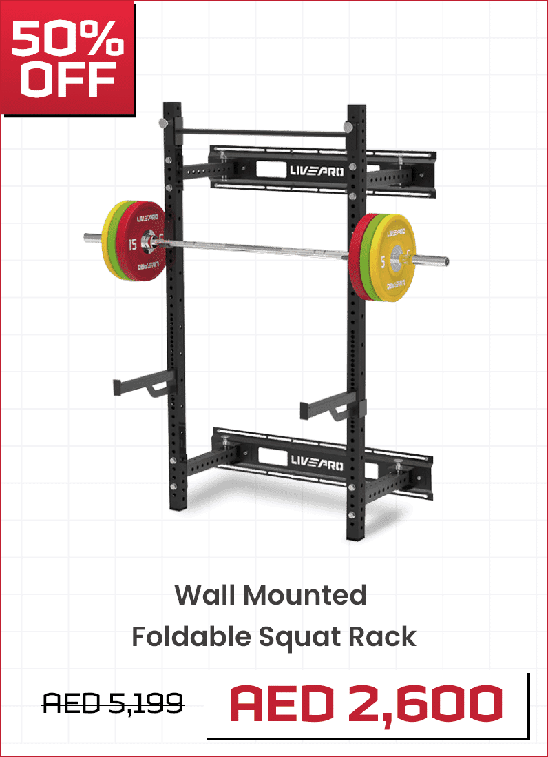 livepro wall mounted rack