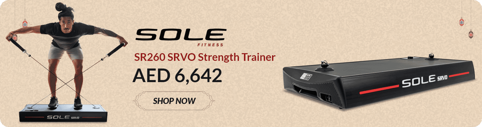 sole fitness functional trainer