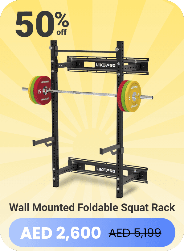dual adjsutable pulley