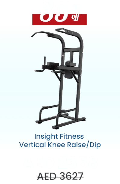 insight-fitness-vertical-knee-raise-dip