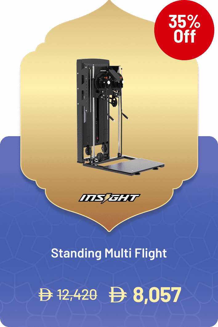 Insight Fitness Standing Multi Flight