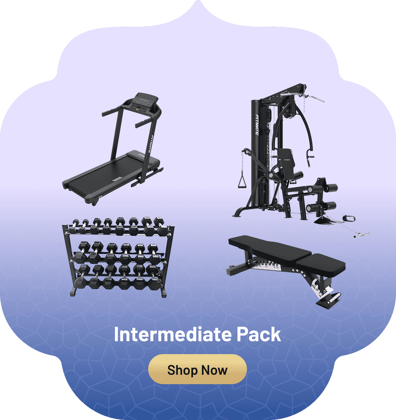 intermediate pack