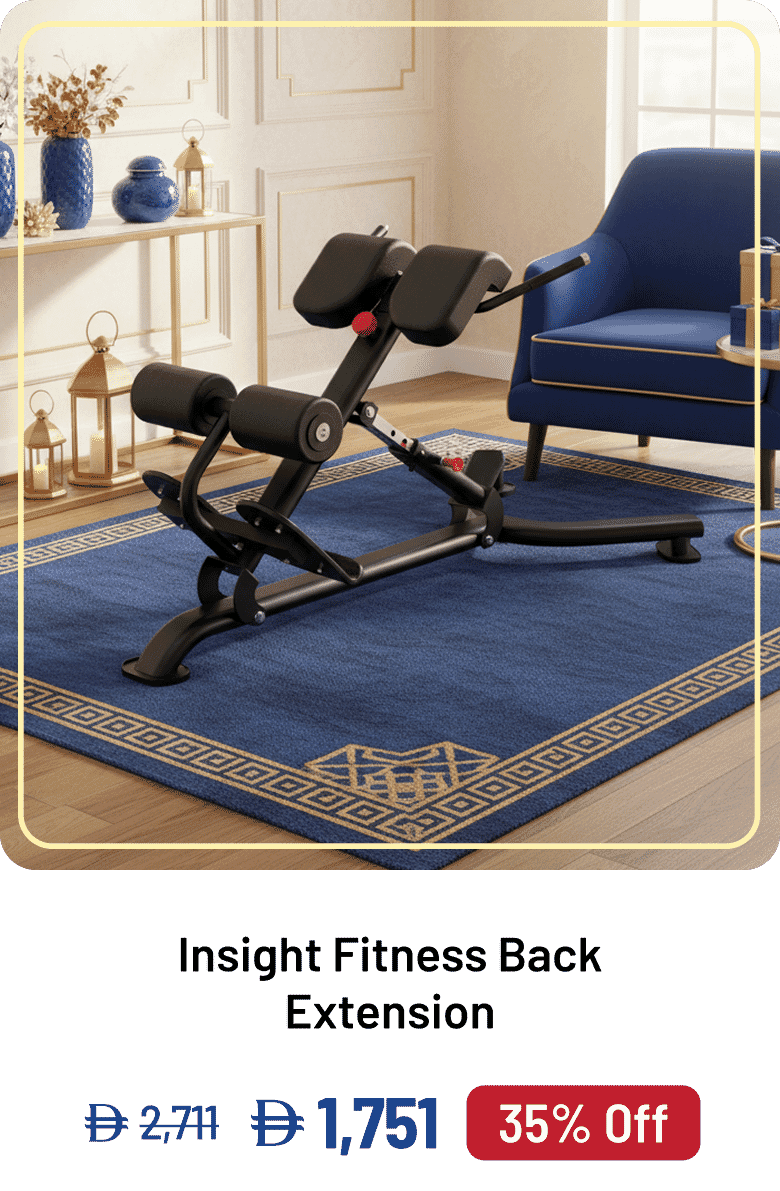 Insight Fitness Back Extension