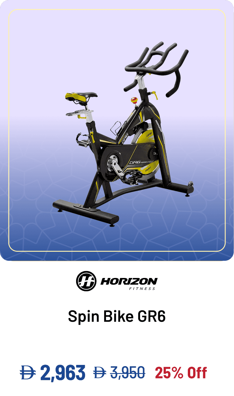 Horizon Fitness Spin Bike GR6