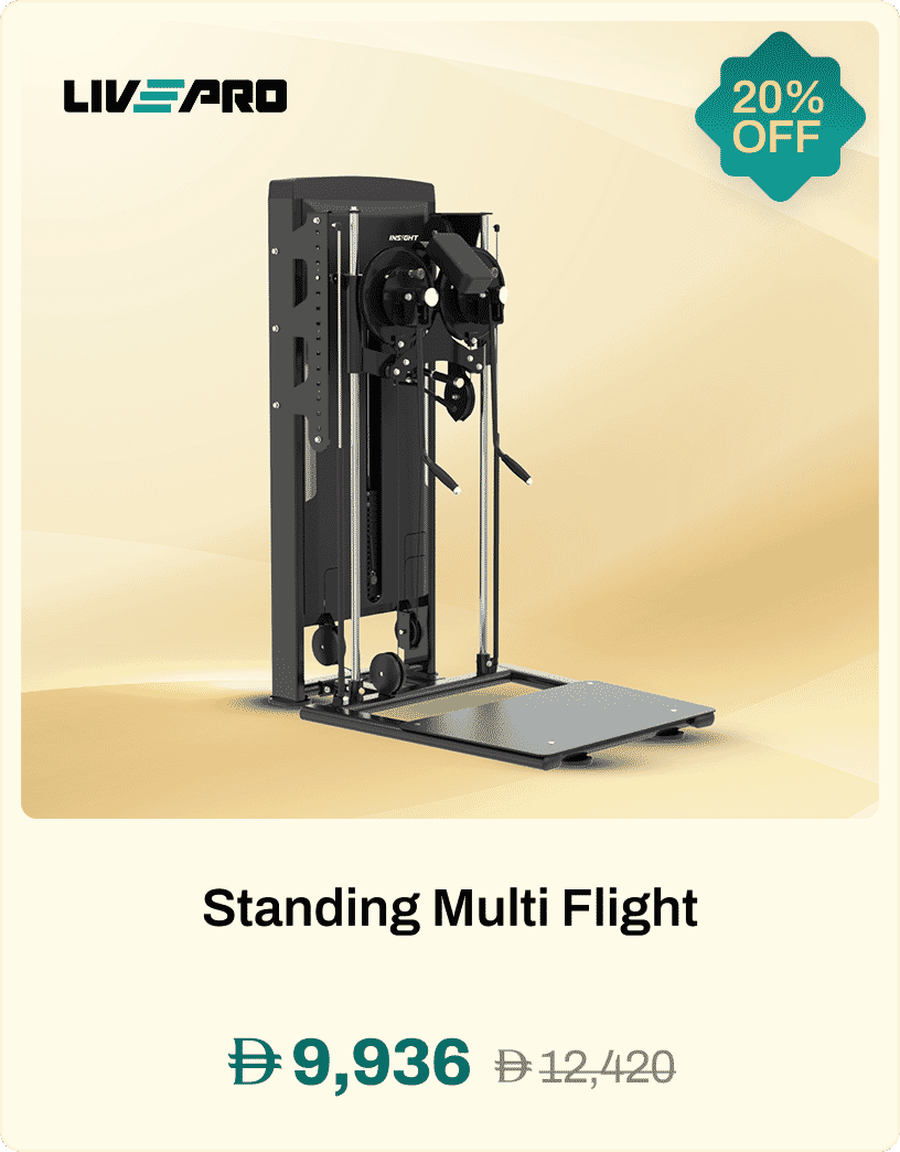 Insight Fitness Standing Multi Flight