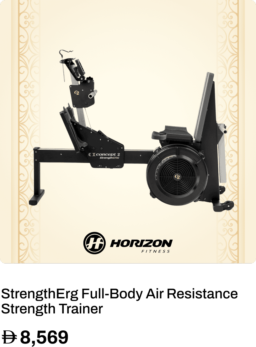 Concept 2 StrengthErg Full-Body Air Resistance Strength Trainer