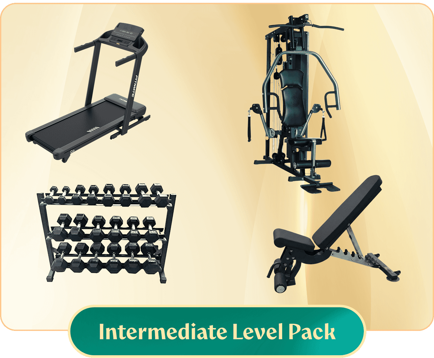 UF30 Intermediate Home Gym Setup Package