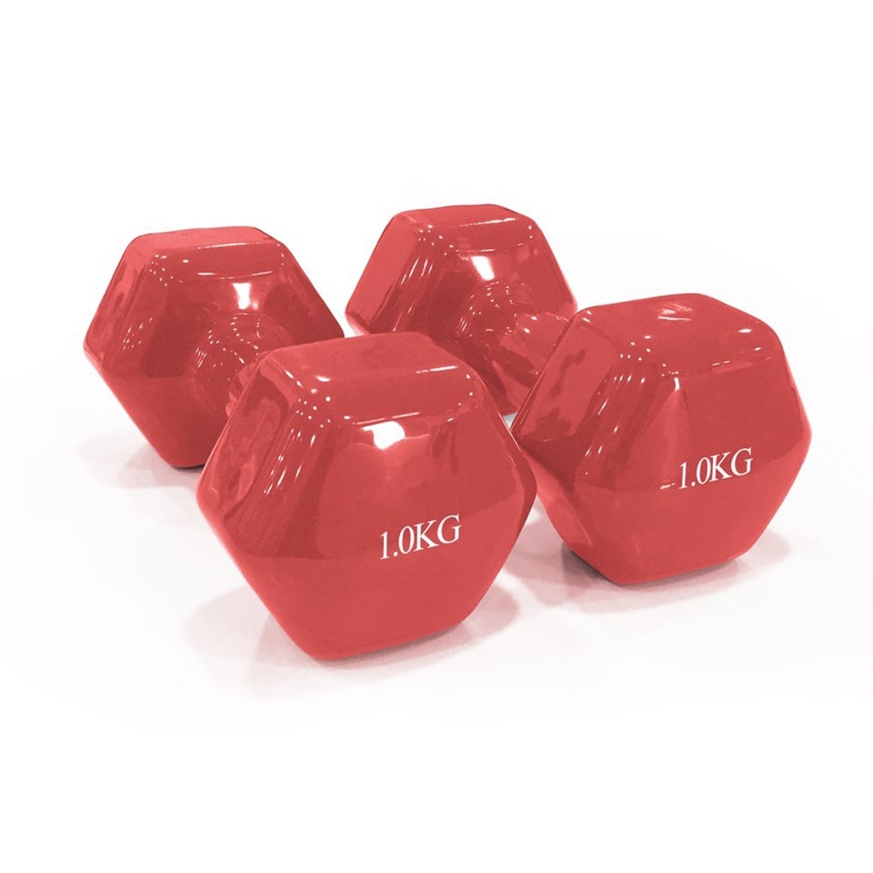 Dawson Sports - Vinyl Dumbbell - 1kg