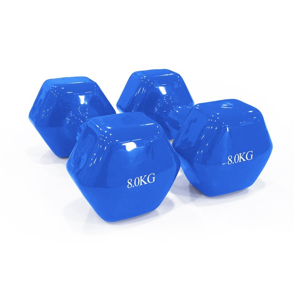 Dawson Sports - Vinyl Dumbbell - 8kg