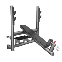 Gym80 - Incline Bench CN004009
