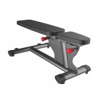 Gym80 - Multi Position Bench CN004010