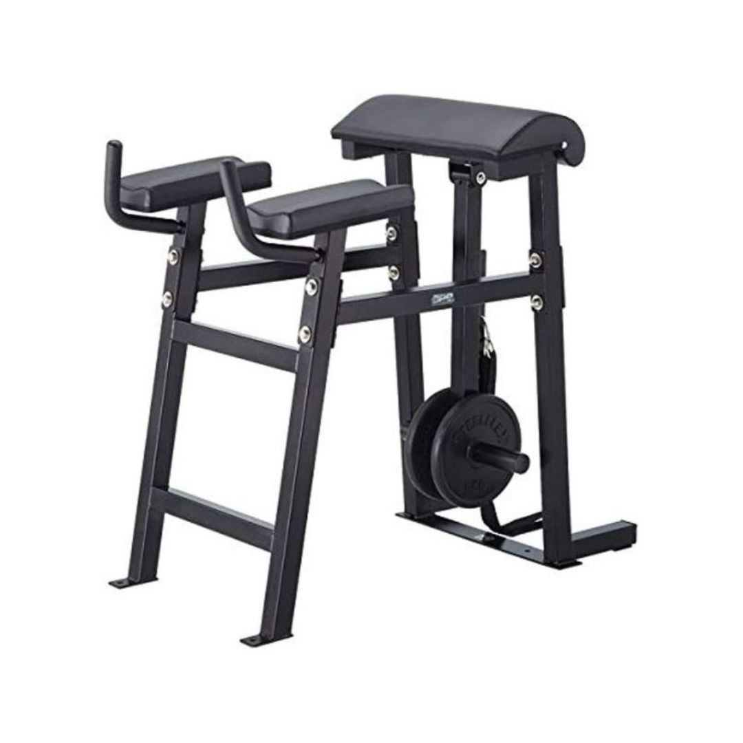 Steelflex RH1 APE Reverse Hyper Bench