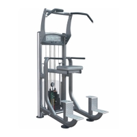 Impulse - Weight Assisted Chin/Dip Combo It9020/It9320
