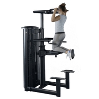 Gym80 - Kneeling Chinning and Dipping Machine Cn003017