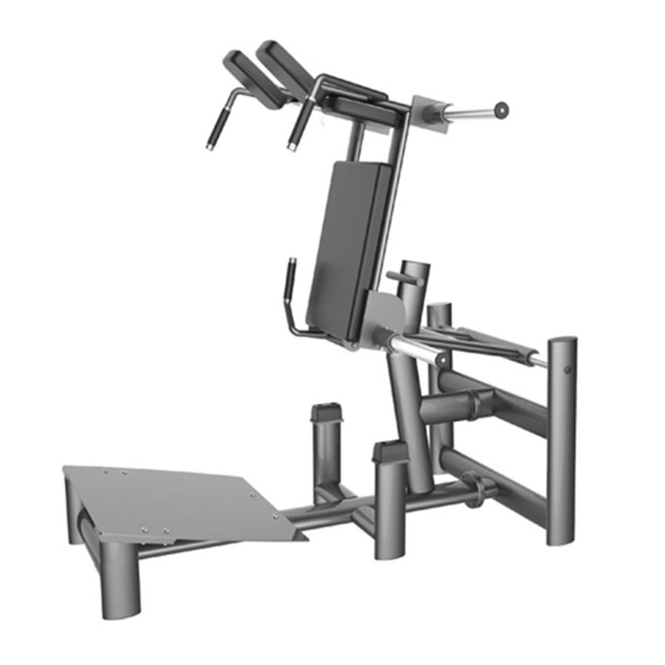 Gym80 - Squat Cn004037