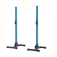 Livepro - Separated Squat Rack Lp6000