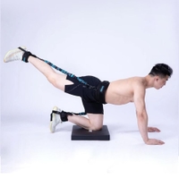 Livepro - Jump Trainer Lp8429