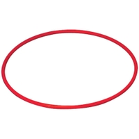 Dawson Sports - Swimming Hoops Set of 4