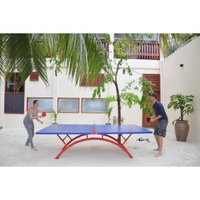 Dawson Sports - Outdoor Table Tennis - Portable TT Table