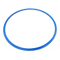 Dawson Sports Flat Hoop 24 Inch