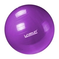 Liveup - Anti Burst Gym Ball Ls3222 55 cm