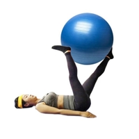 York Fitness - Anti-Burst Gym Ball 55 cm With Pump Blu