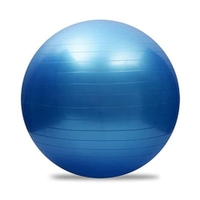 York Fitness - Anti-Burst Gym Ball 55 cm With Pump Blu