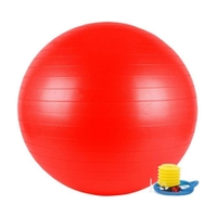 York Fitness  - Anti-Burst Gym Ball 65 cm With Pump-Red