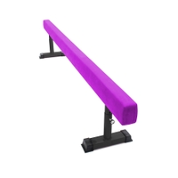 Dawson Sports - Lower Height Adjustable Balance Beam - Purple