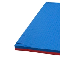 Victory Judo Mat 100x100x4 cm