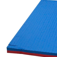 Victory Judo Mat 100x100x3 cm
