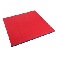 Victory Judo Mat 100x100x3 cm