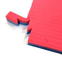 Victory Judo Mat 100x100x3 cm