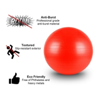 Liveup - Stability Ball Without Pump Ir97446