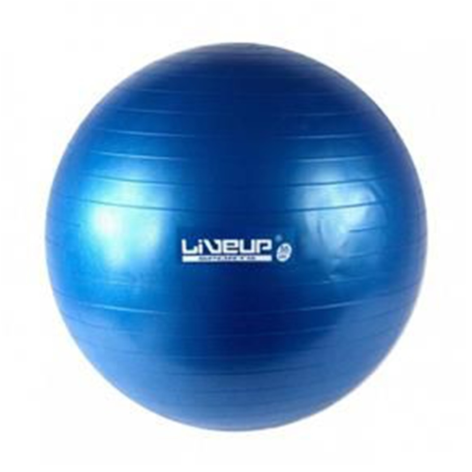 Liveup - Stability Ball With Pump 65 cm Ls3579