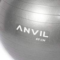 Anvil Anti-Burst Gym Ball | Grey 65CM