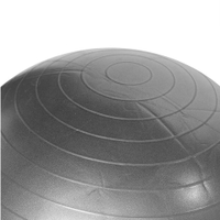 Anvil Anti-Burst Gym Ball | Grey 65CM