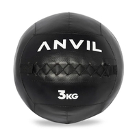 Anvil Wall Ball 3 Kg