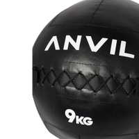 Anvil Wall Ball 9 Kg