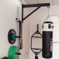 Fitmate boxing bag mount