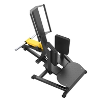 Dhz Fitness Standing Abductor