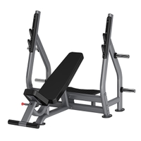 Insight Fitness Incline Olympic Bench