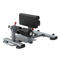 Insight Fitness Sissy Squat