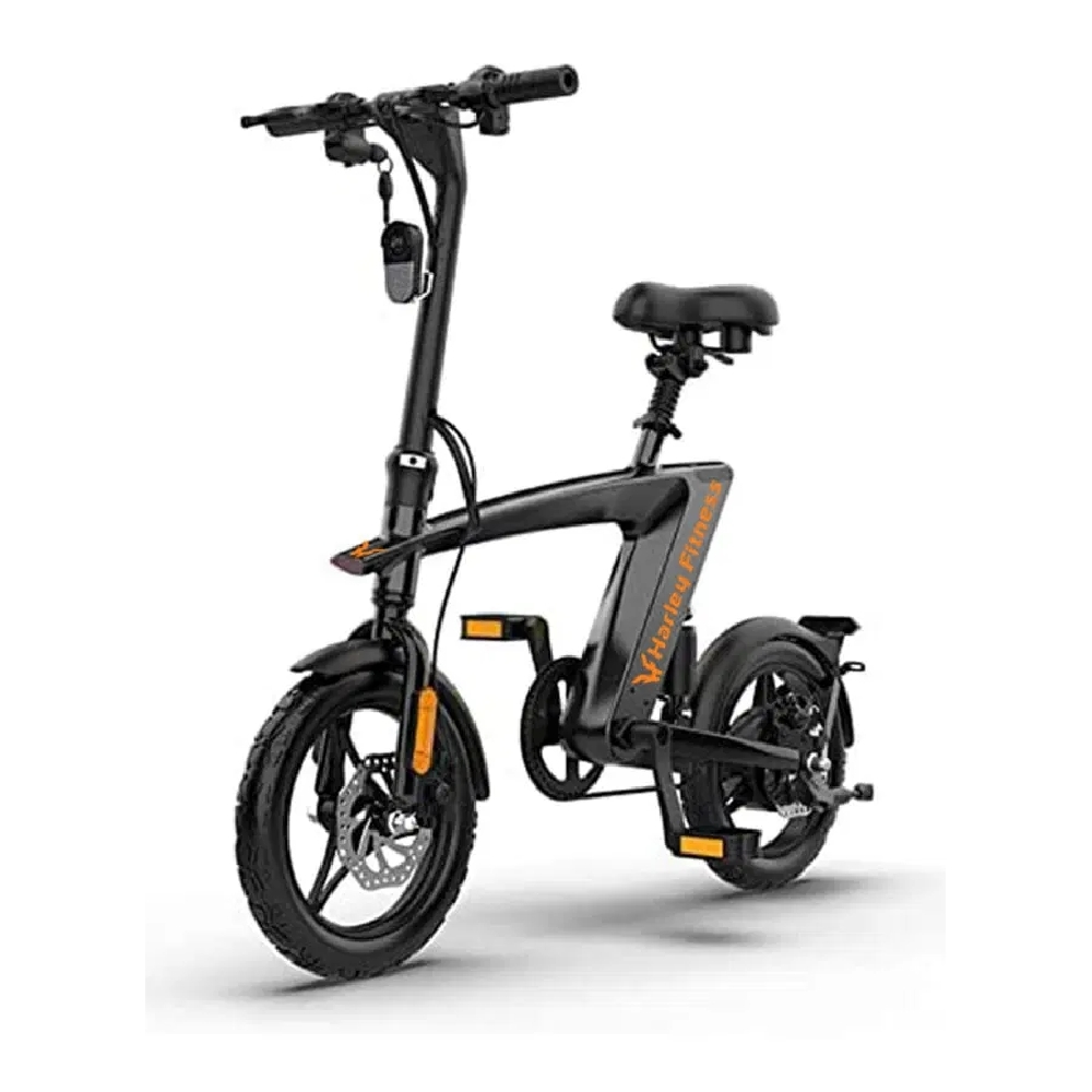 Harley Fitness Electric Scooter H1