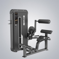 DHZ Fitness - Back Extension Weight Stack Machine