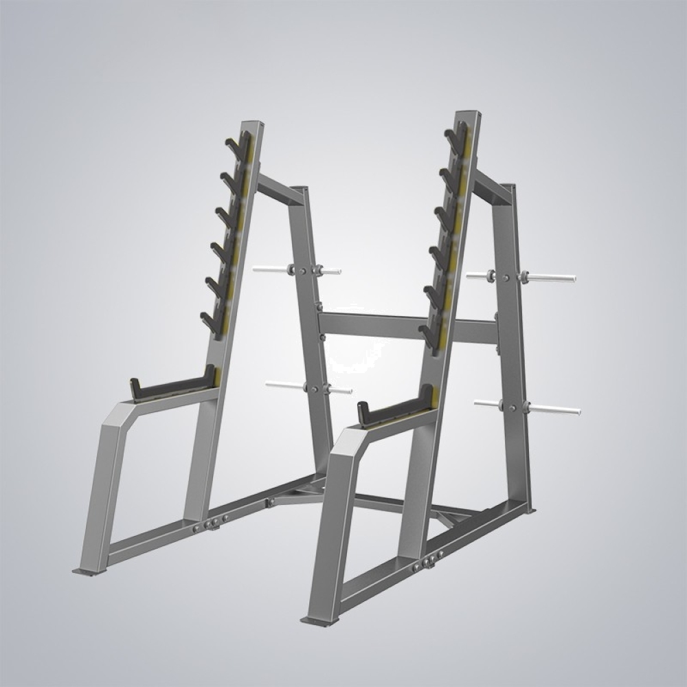 DHZ Fitness Squat Rack