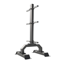 DHZ Fitness Vertical Plate Tree