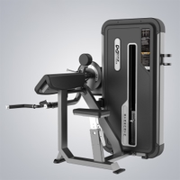 DHZ Fitness - Tricep And Biceps Machine